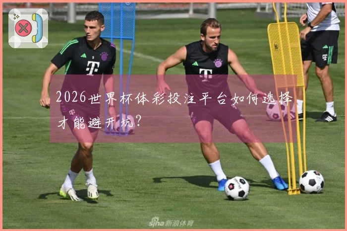 2026世界杯体彩投注平台如何选择才能避开坑？