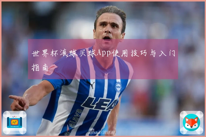 世界杯滚球买球App使用技巧与入门指南
