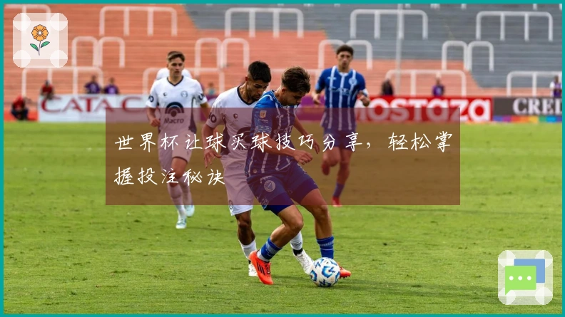 世界杯让球买球技巧分享，轻松掌握投注秘诀