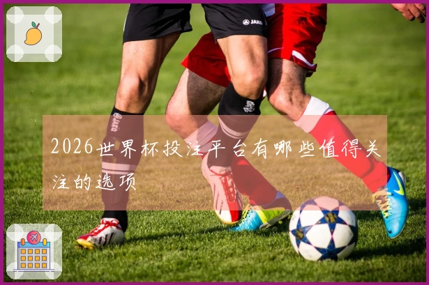 2026世界杯投注平台有哪些值得关注的选项