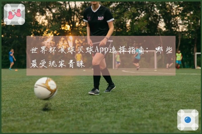 世界杯滚球买球App选择指南：哪些最受玩家青睐