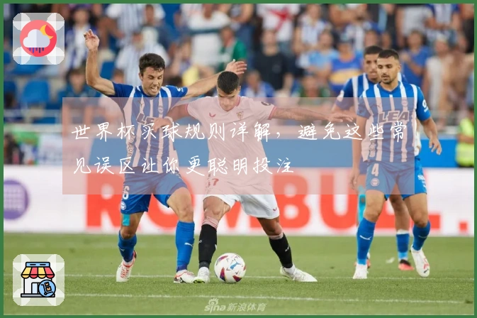 世界杯买球规则详解,避免这些常见误区让你更聪明投注