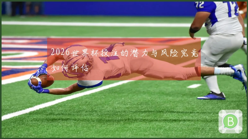 2026世界杯投注的潜力与风险究竟如何评估