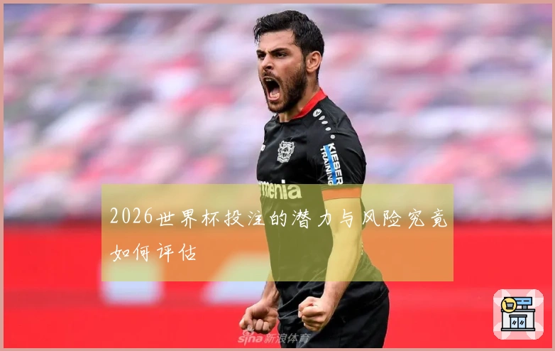 2026世界杯投注的潜力与风险究竟如何评估