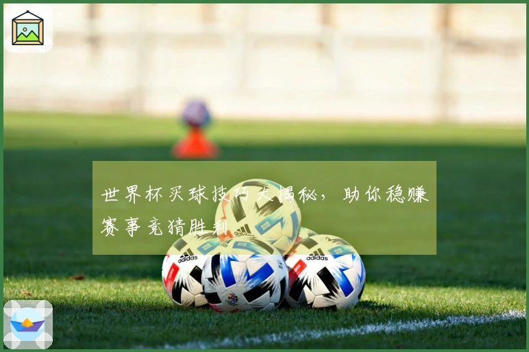 世界杯买球技巧大揭秘，助你稳赚赛事竞猜胜利