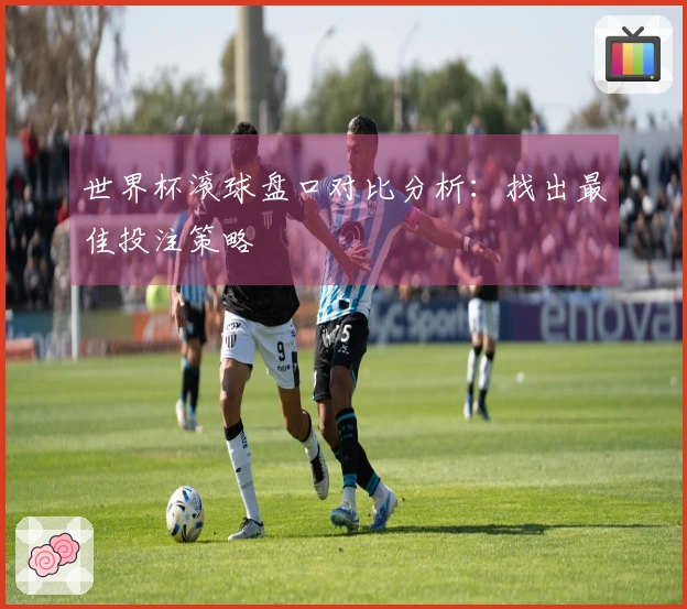 世界杯滚球盘口对比分析：找出最佳投注策略