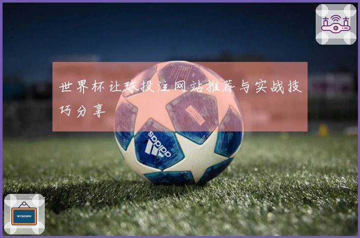 世界杯让球投注网站推荐与实战技巧分享