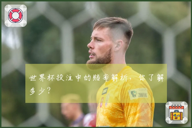 世界杯投注中的赔率解析，你了解多少？
