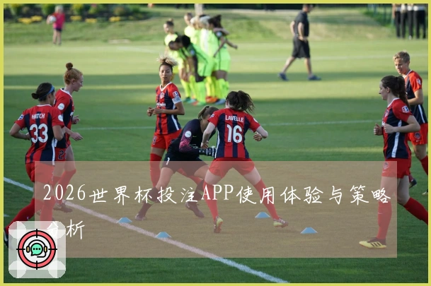 2026世界杯投注APP使用体验与策略分析