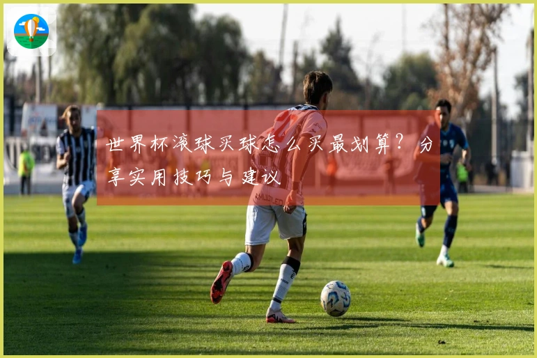 世界杯滚球买球怎么买最划算？分享实用技巧与建议