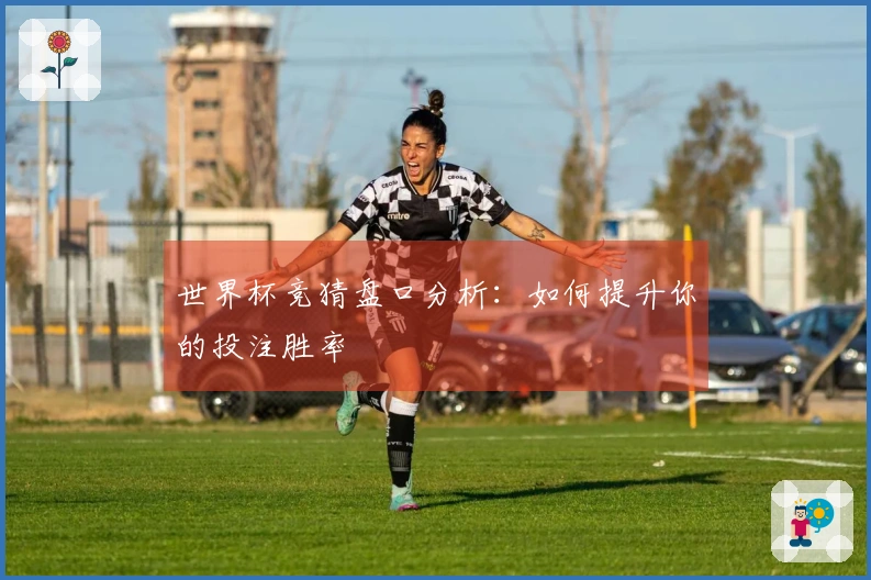 世界杯竞猜盘口分析：如何提升你的投注胜率