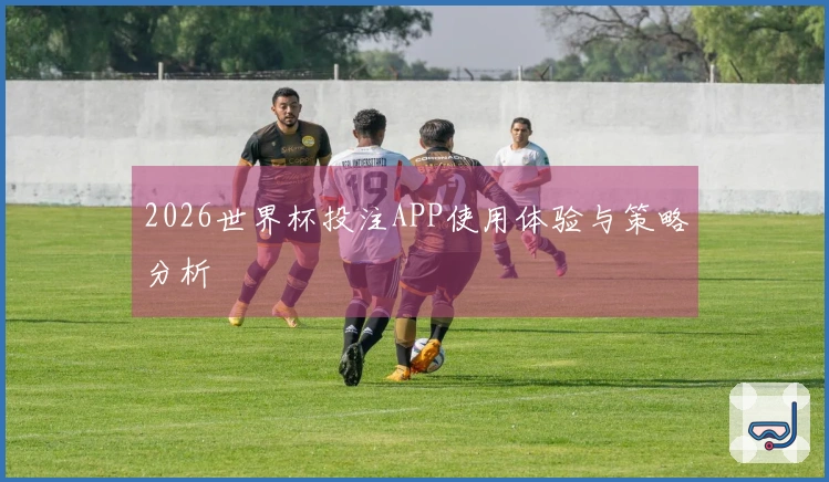 2026世界杯投注APP使用体验与策略分析