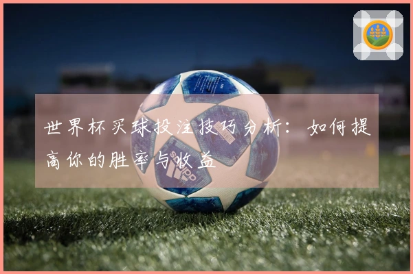世界杯买球投注技巧分析：如何提高你的胜率与收益