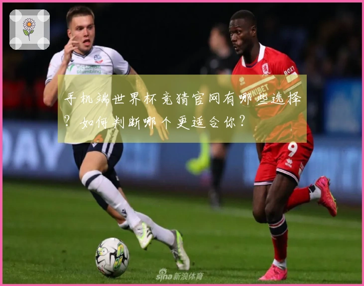 手机端世界杯竞猜官网有哪些选择？如何判断哪个更适合你？
