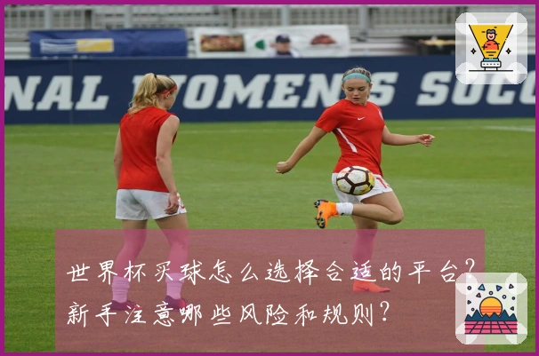 世界杯买球怎么选择合适的平台？新手注意哪些风险和规则？