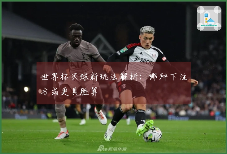 世界杯买球新玩法解析：哪种下注方式更具胜算