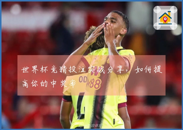 世界杯竞猜投注实战分享，如何提高你的中奖率