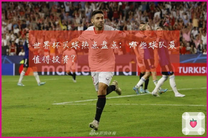 世界杯买球热点盘点：哪些球队最值得投资？