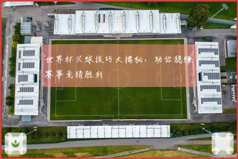 世界杯买球技巧大揭秘，助你稳赚赛事竞猜胜利