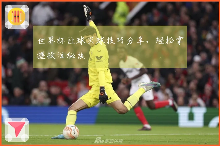 世界杯让球买球技巧分享，轻松掌握投注秘诀