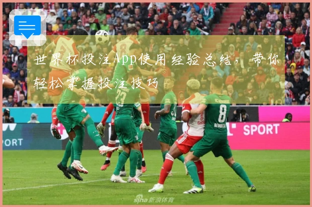 世界杯投注App使用经验总结，带你轻松掌握投注技巧